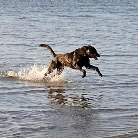 Appartamento Ostsee *